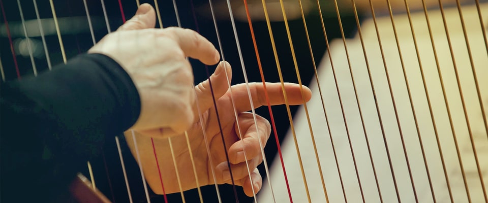 Музыкальные инструменты Музыкальные инструменты