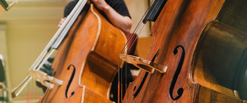 Уроки контрабаса онлайн | Моя Мечта