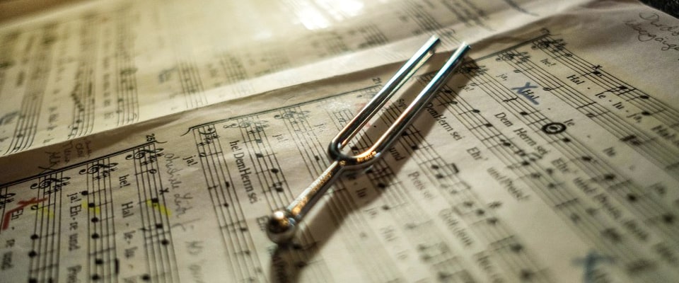 Дополнительные предметы Дополнительные предметы