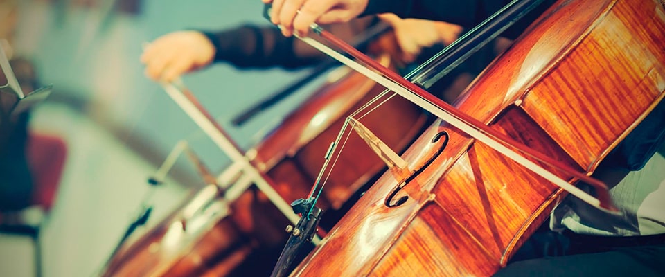 Музыкальные инструменты Музыкальные инструменты